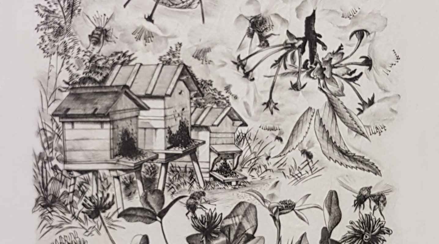 Detalh d'una gravadura de Tavy Notton (1914-1977) sus la vida de las abelhas