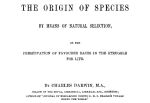 origin-of-species