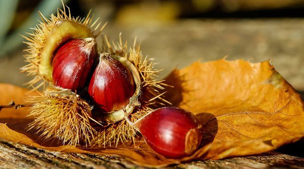 castanhas