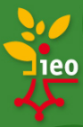 ieo