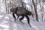 muol-boston-dynamics